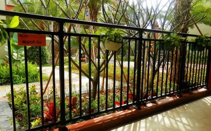 香蕉APP在线观看